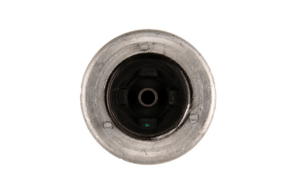 Bilstein B1 - Front Suspension Strut Top Mount/Bearing - BMW 5-Series (E39) :12-224425