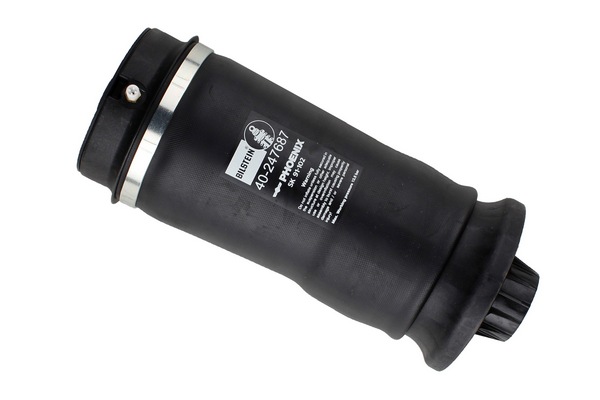 Bilstein B3 Air - Rear OE Replacement - Air Spring - Mercedes-Benz ML-Klasse W164/166 :40-247687