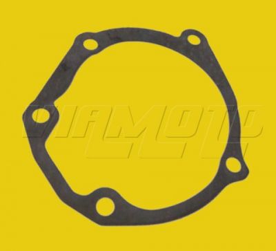 Gasket - Water Pump to Cylinder Head - Mitsubishi EVO 7 CT9A