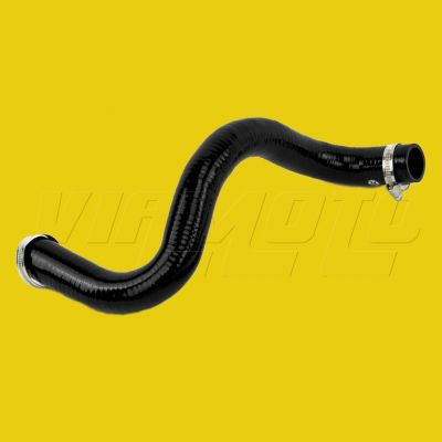 Lower Radiator Hose - FTO V6 Manual Gearbox