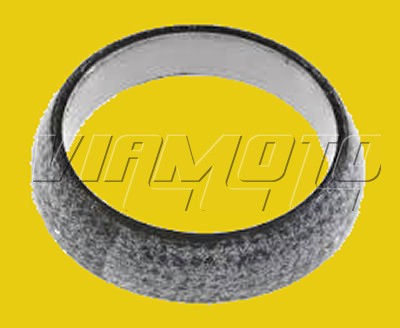 Exhaust Seal Ring Back Box to Middle Section - EVO 10 X CZ4A