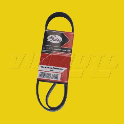 Alternator/Water Pump Belt - Mitsubishi Colt CZT 1.5 Turbo Z37A