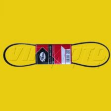 Alternator Belt - FTO 2.0 V6 DE3A