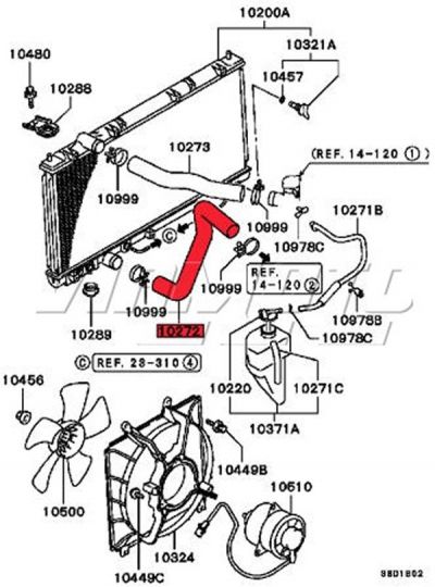 Lower Radiator Hose - FTO V6 Automatic Gearbox #2