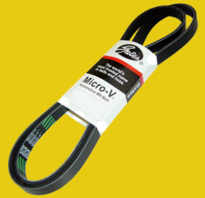 Alternator/Power Steering Belt/Air Conditioning Belt - EVO 5 6 CP9A